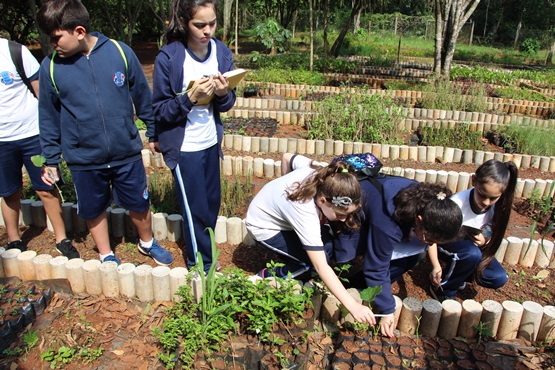 Vivero De ITAIPU Duplica Entrega De Plantas Medicinales En Lo Que Va